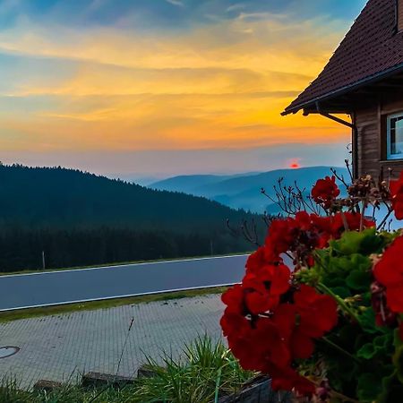Pension Forsthaus Taele - Das Gaestehaus Vom Schwarzwaldgasthaus Salenhof 티티제-노이슈타트 외부 사진
