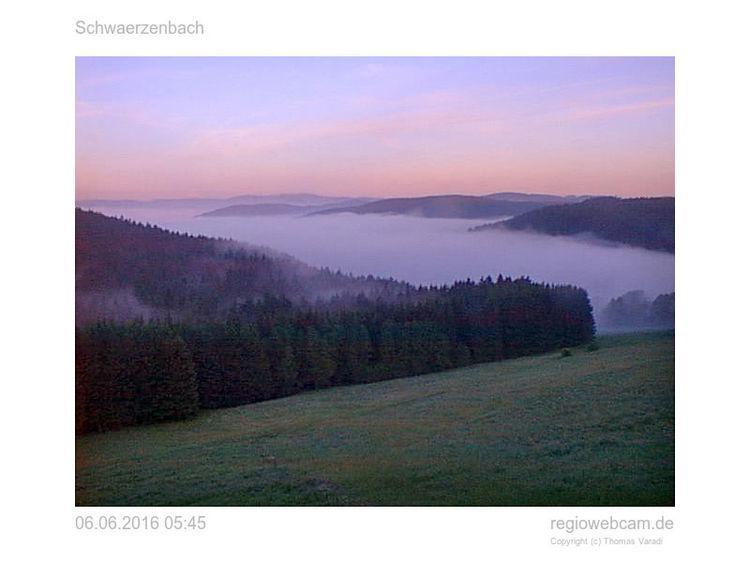 Pension Forsthaus Taele - Das Gaestehaus Vom Schwarzwaldgasthaus Salenhof 티티제-노이슈타트 외부 사진