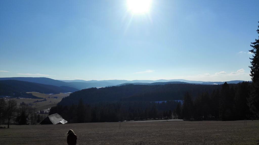 Pension Forsthaus Taele - Das Gaestehaus Vom Schwarzwaldgasthaus Salenhof 티티제-노이슈타트 외부 사진