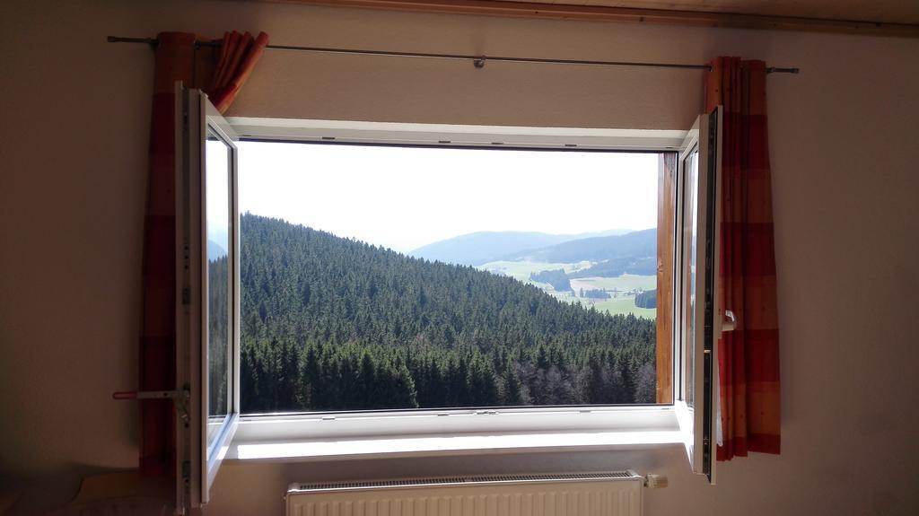 Pension Forsthaus Taele - Das Gaestehaus Vom Schwarzwaldgasthaus Salenhof 티티제-노이슈타트 외부 사진