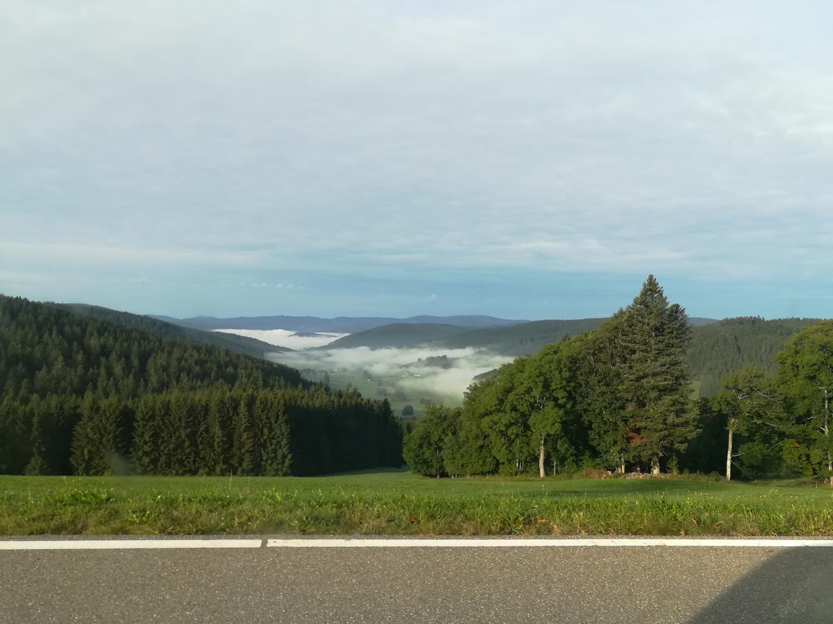 Pension Forsthaus Taele - Das Gaestehaus Vom Schwarzwaldgasthaus Salenhof 티티제-노이슈타트 외부 사진