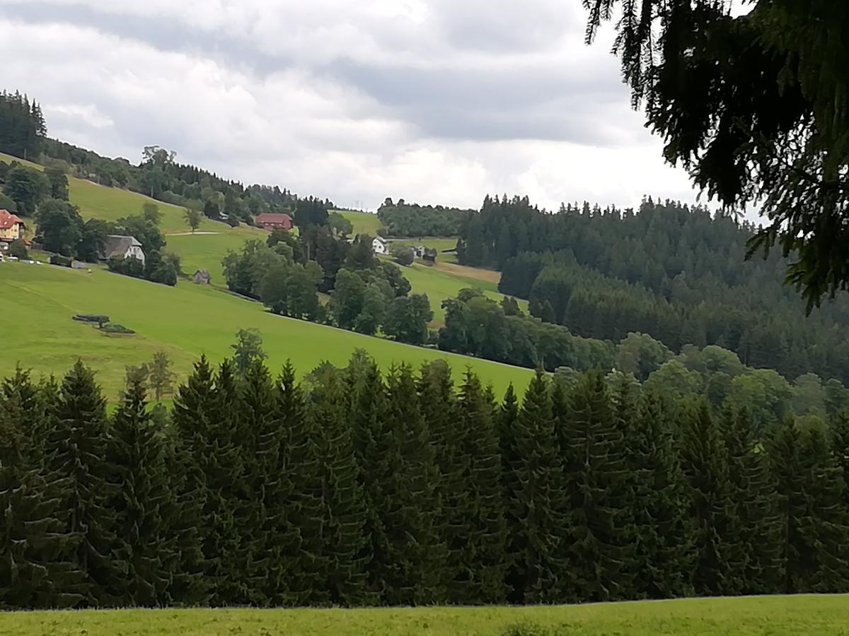 Pension Forsthaus Taele - Das Gaestehaus Vom Schwarzwaldgasthaus Salenhof 티티제-노이슈타트 외부 사진
